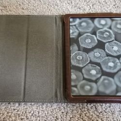 Kindle Oasis with Cover