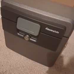 SentrySafe Lock Safe