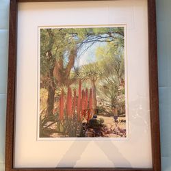 Framed Cactus Picture