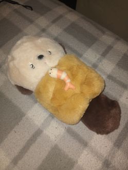 Otter plushie