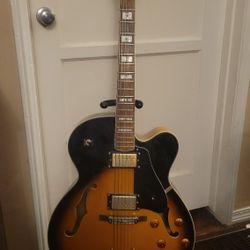 S-101 Archtop Hollow body Electric Guitar 