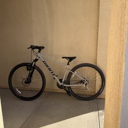 Giant Roam Mountain Bike