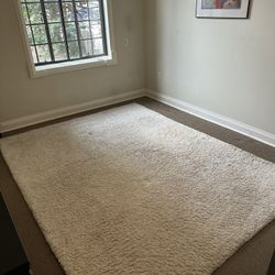 Safavieh Ultimate Shag Ivory Rug 8x10
