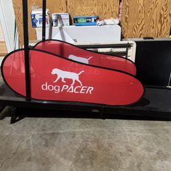 Full Size Dog Pacer treadmill - Barely Used 