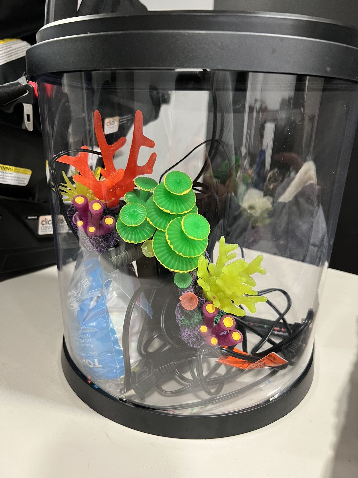 Fish Tank 