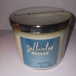 SALTWATER BREEZE 3 WICK CANDLE $5.00