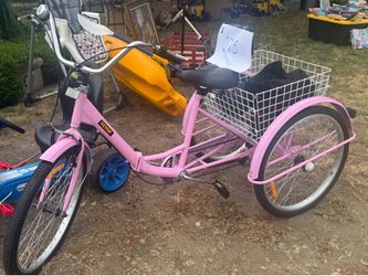 3 wheeled bicycle