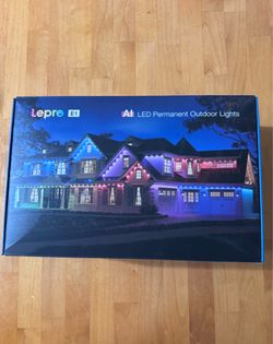 100 ft Outdoor Permanent Lights AI