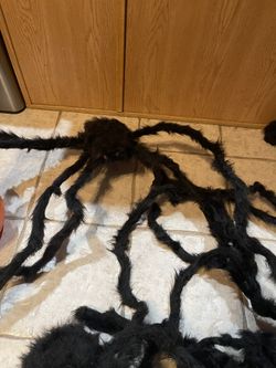 Halloween Spiders