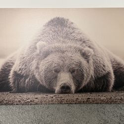 Sleeping Bear Wall Art
