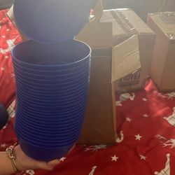 24 blue plastic plates
