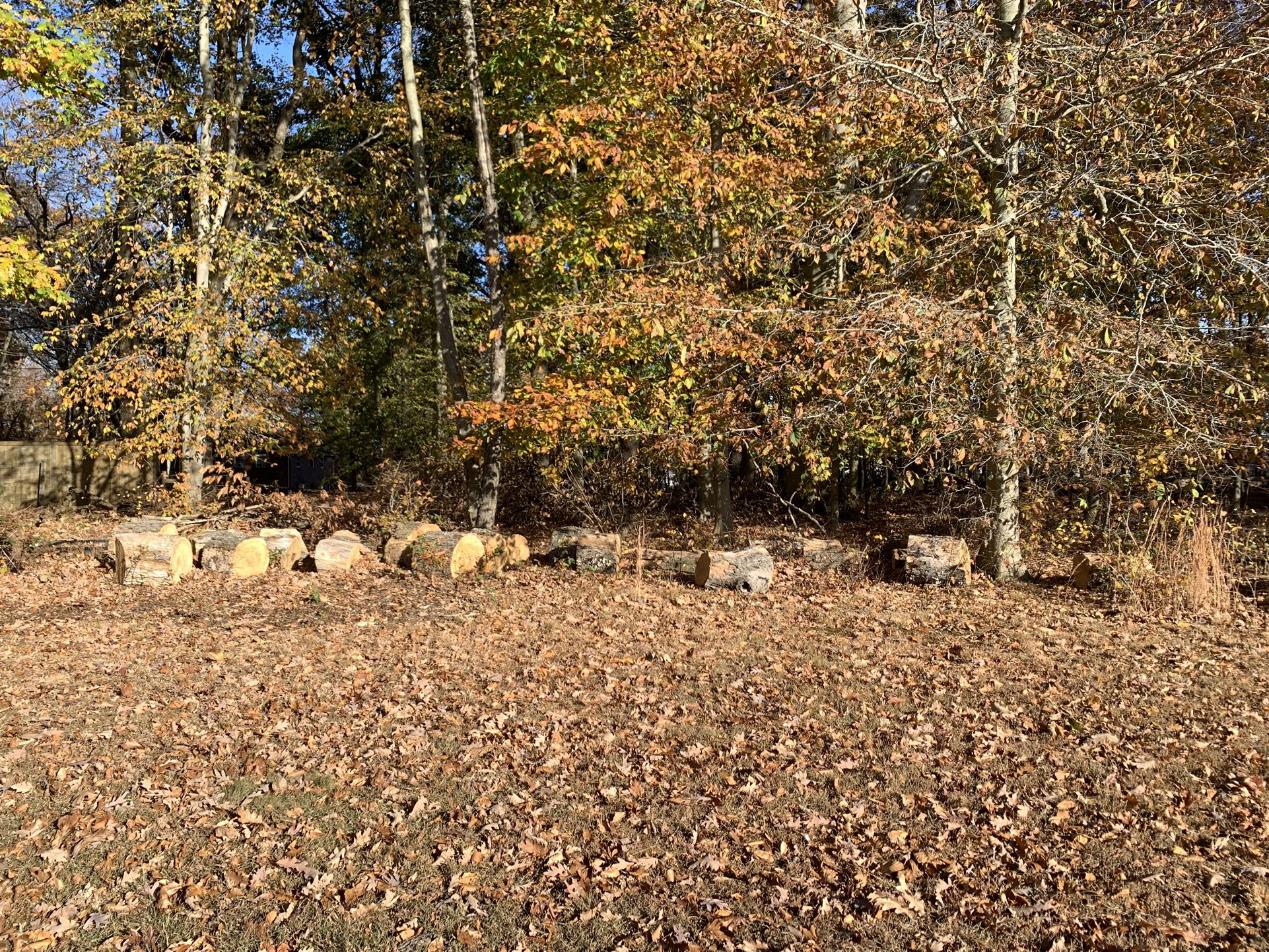 Free Fire Wood Logs