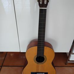 Yamaha Guitar 🎸