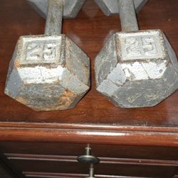 25 Lbs Dumbells