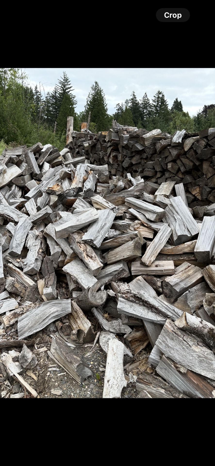 Firewood Seasoned