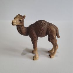 Schleich Dromedary Camel Foal 14356 Figure Figurine Wildlife Toy 2005.
