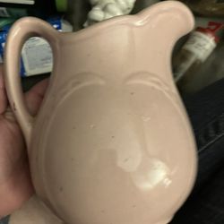 Pink Pitcher