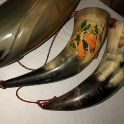 Decorative Bull Horn 