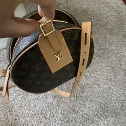 Louie Vuitton Purse