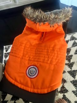 Dog sweater and coat