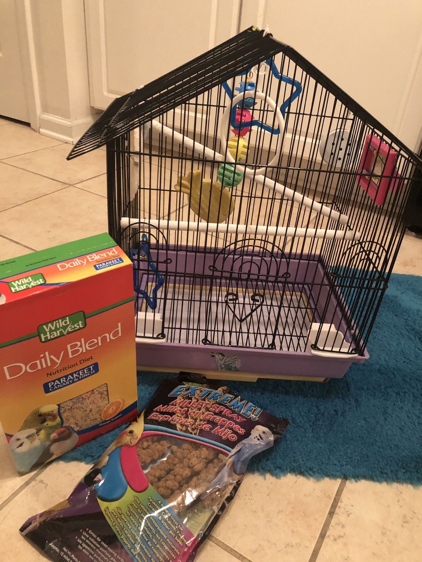 Bird cage and food