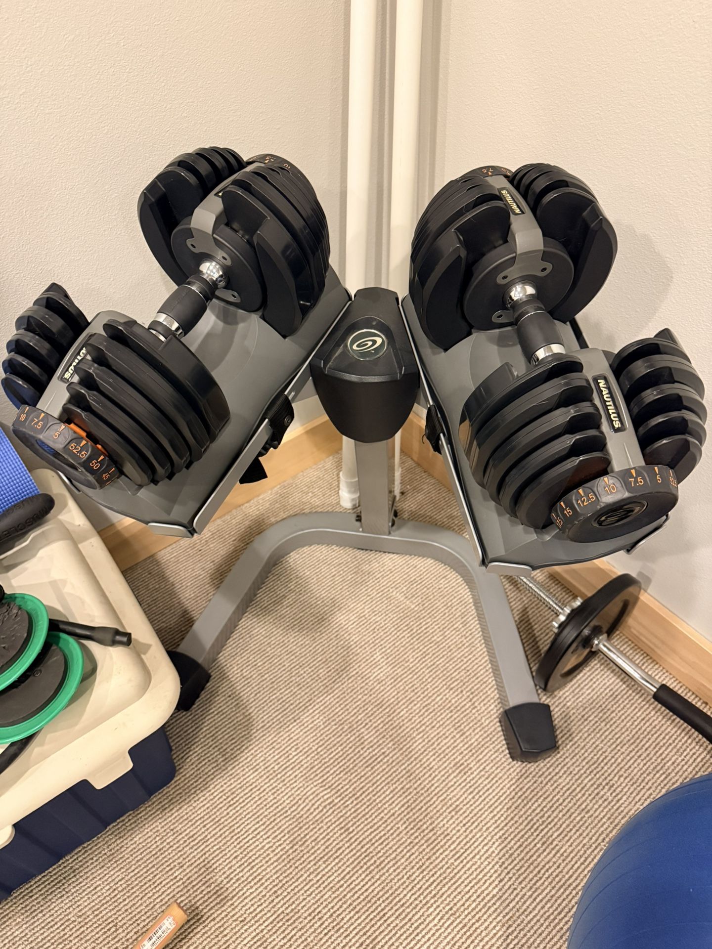 Nautilus Adjustable Dumbbell W/stand