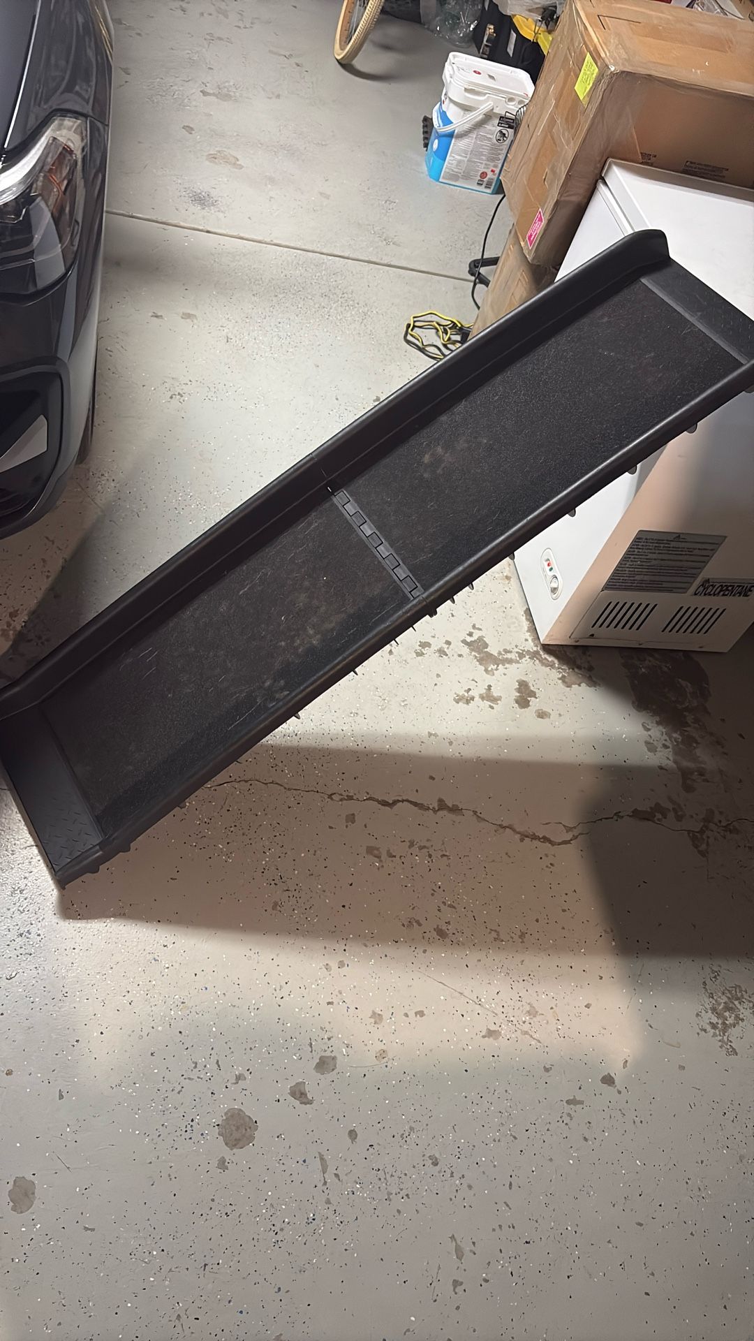dog ramp