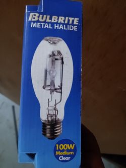 100w Light Bulb