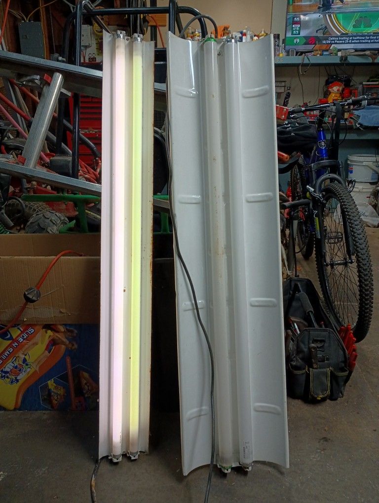 Free T8 Lights