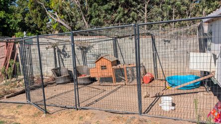 Chicken Coop (10' x 20' run)