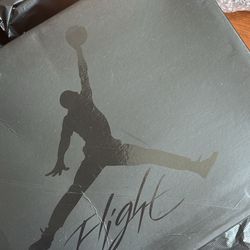 Jordan 4s Black Cat Retros 