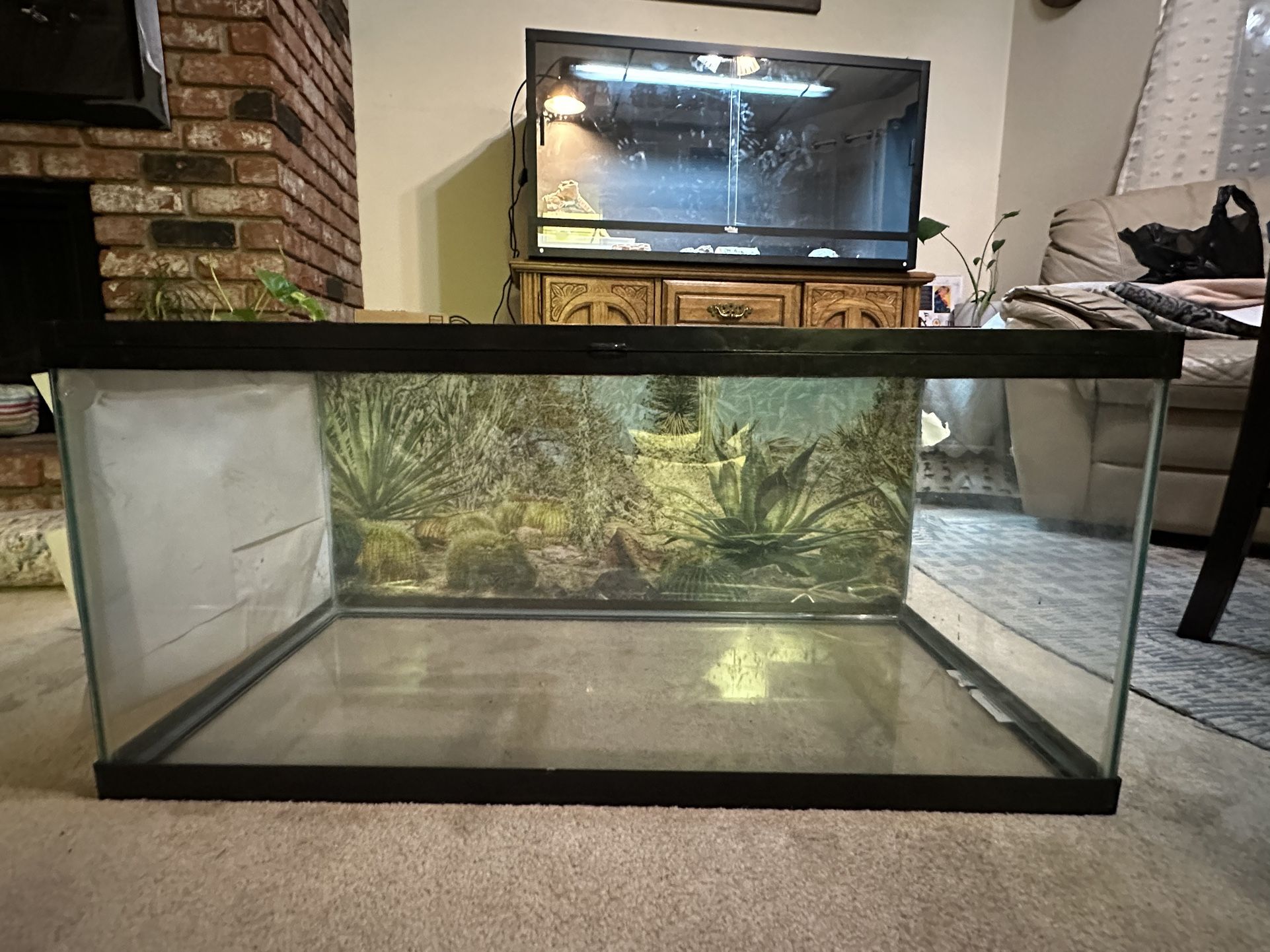 Bearded Dragon Tank for Sale in Las Vegas, NV OfferUp