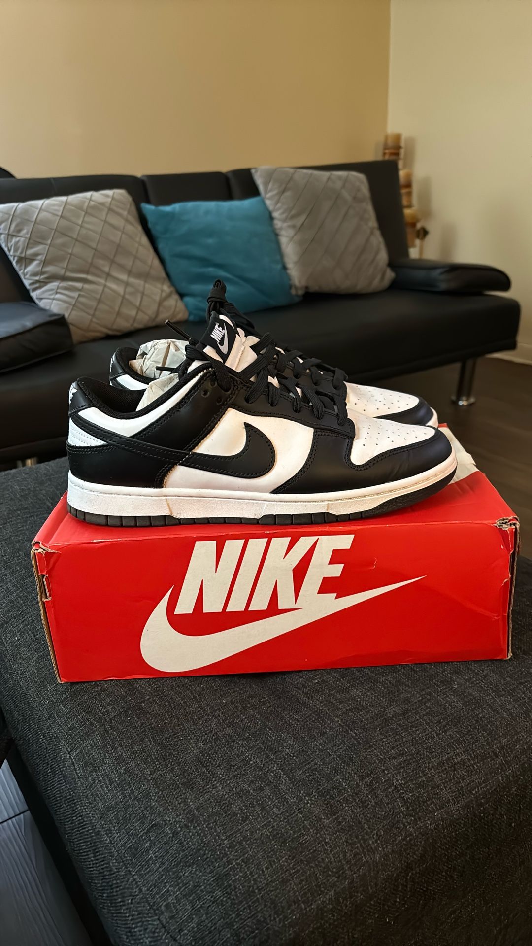 Nike Panda Size 9