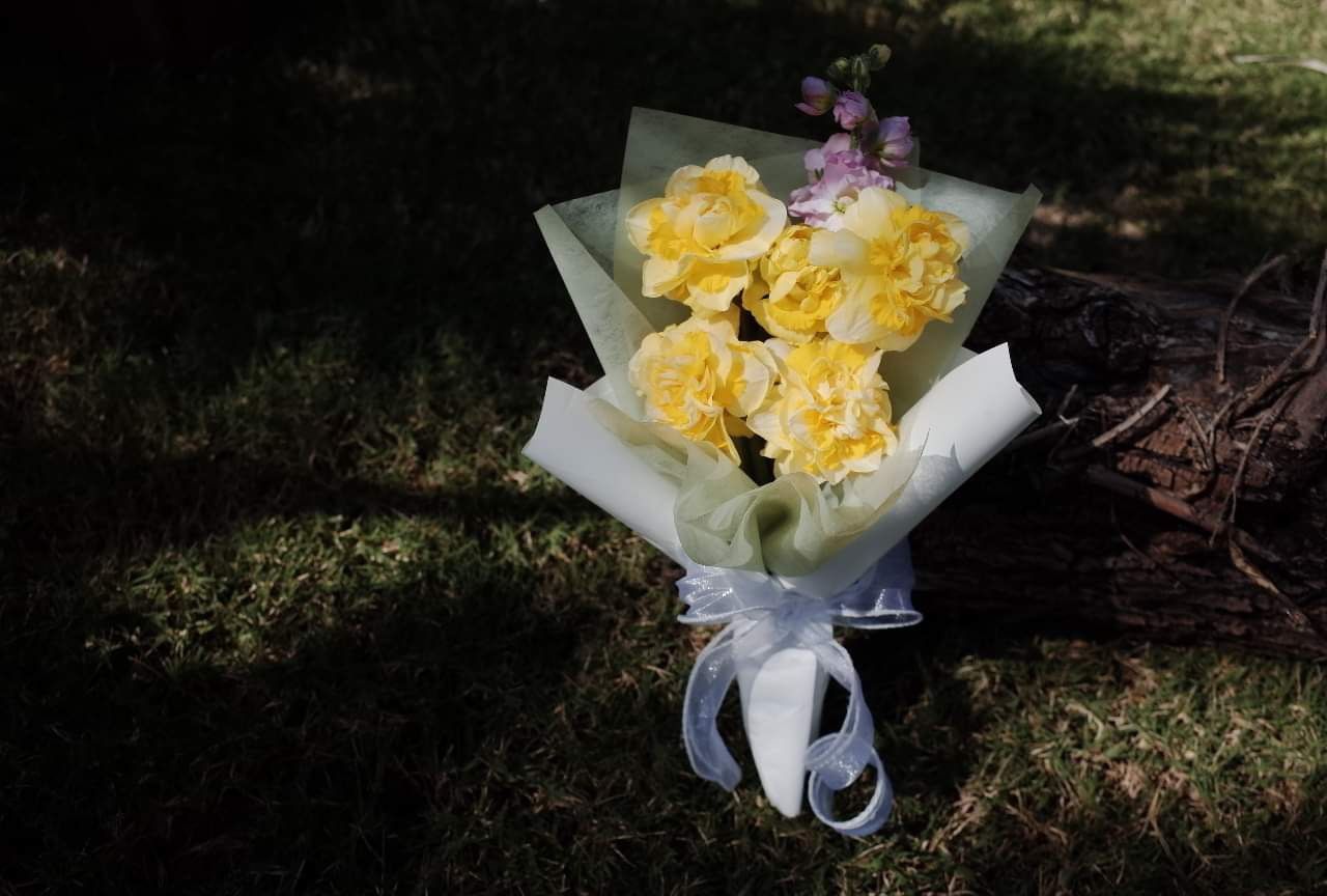 Fresh Yellow Daffodil Bouquet Best Gift