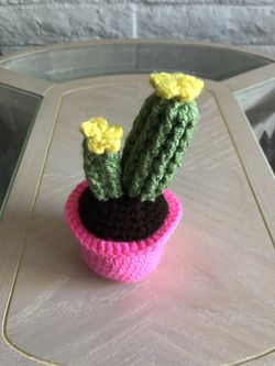 Knitted cactus gift