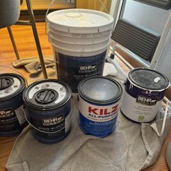 White Paint & Primer (Soft Dimensional White)