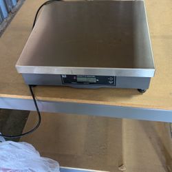 Scale