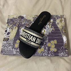 Dior slides