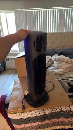 Fan