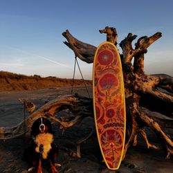 Surfboard 