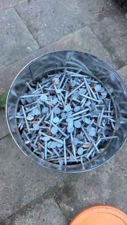 1 bin full of 1.5-2 inch nails