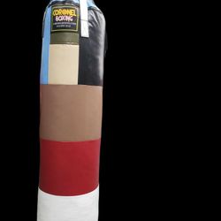 Punching Bag 