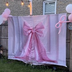 Pink Bow Photo Backdrop