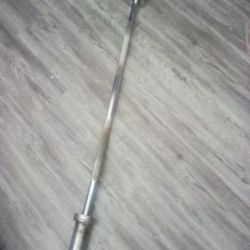 French Olympic Curl Bar