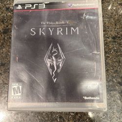 Skyrim 