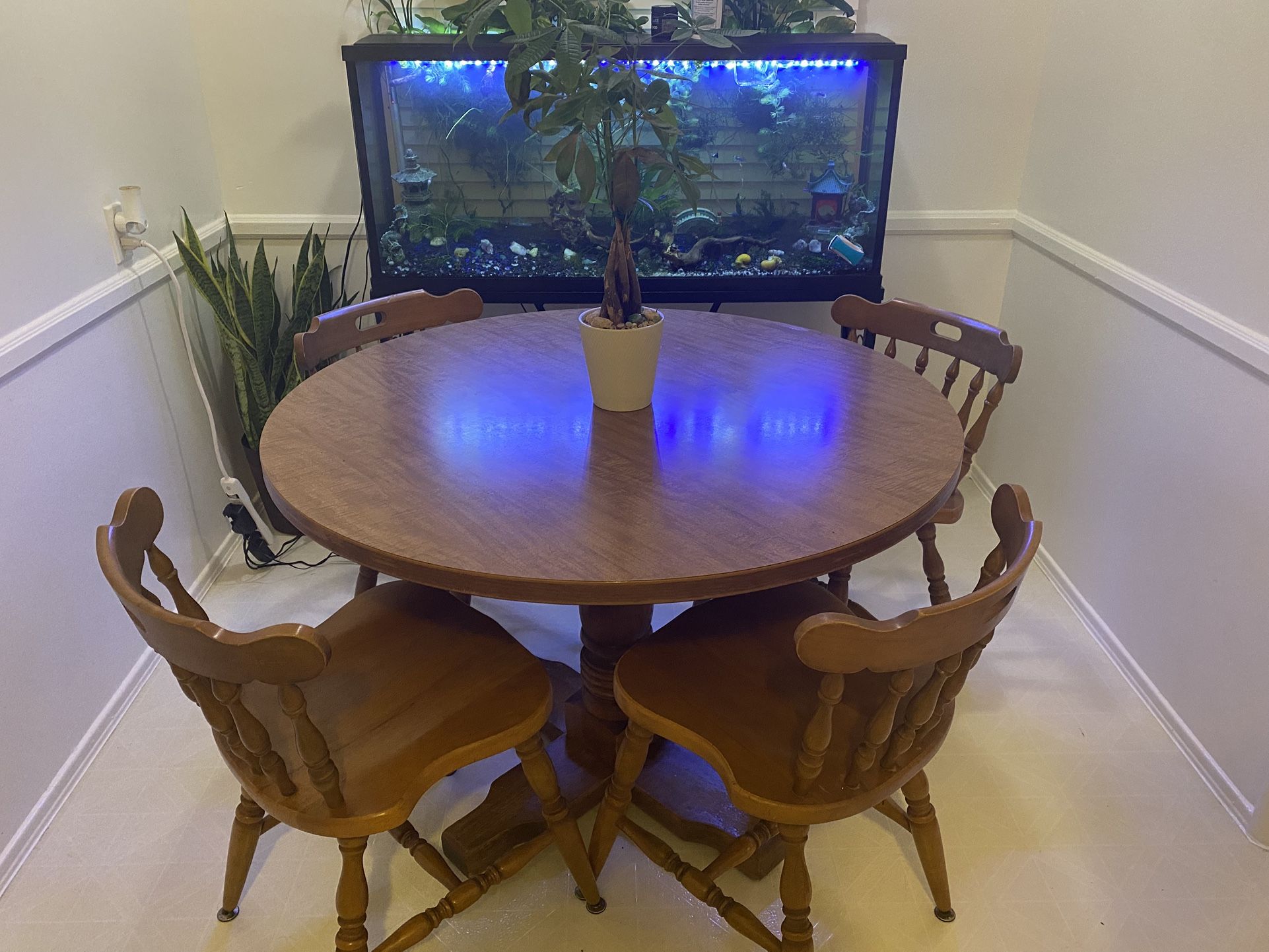 55 Gal