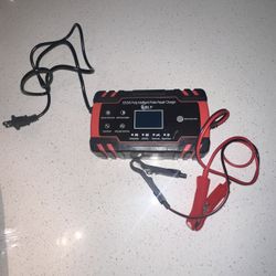 Smart Car Battery Charger