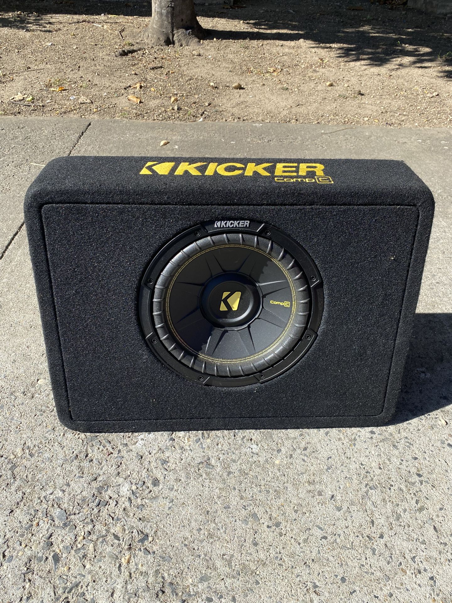 10” Kicker & Amp