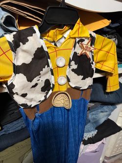 Toy Story Woody Kids Costume
