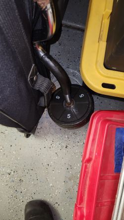 Fixed Curl Bar